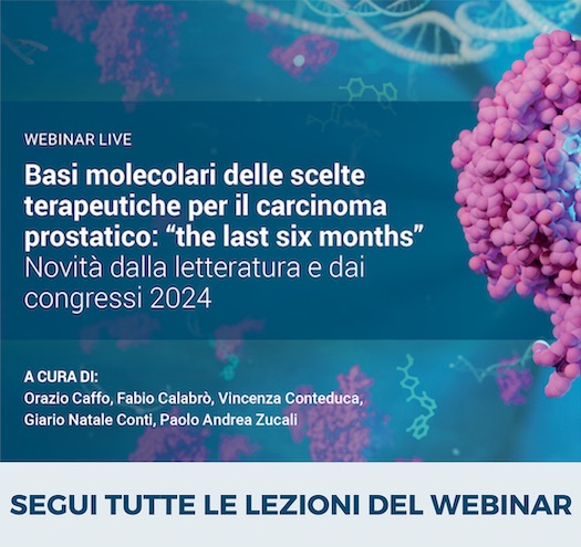 Segui tutte le lezioni del webinar